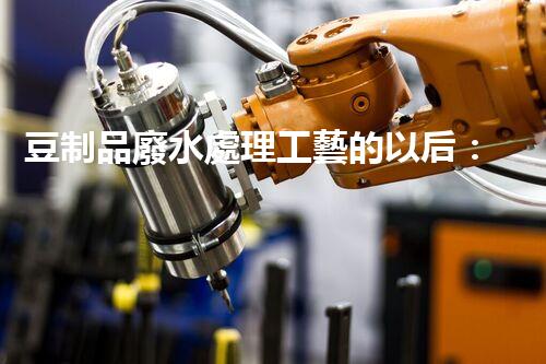 豆制品廢水處理工藝的以后：挑戰(zhàn)與突破？